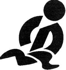 Regroupement Intersectoriel des Organismes Communautaires de Montréal